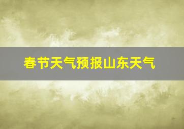 春节天气预报山东天气