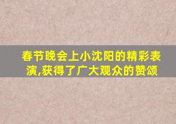 春节晚会上小沈阳的精彩表演,获得了广大观众的赞颂