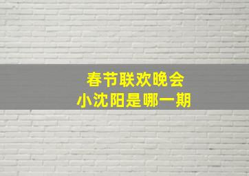 春节联欢晚会小沈阳是哪一期