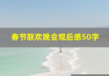 春节联欢晚会观后感50字