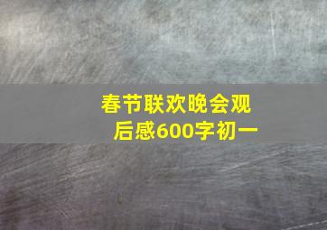 春节联欢晚会观后感600字初一