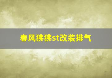 春风狒狒st改装排气