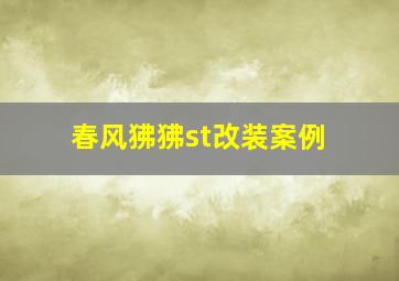 春风狒狒st改装案例