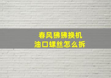 春风狒狒换机油口螺丝怎么拆