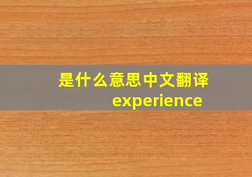 是什么意思中文翻译experience