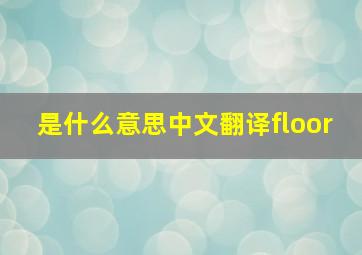 是什么意思中文翻译floor