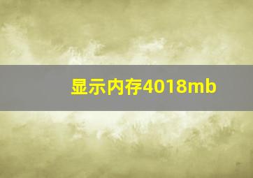 显示内存4018mb