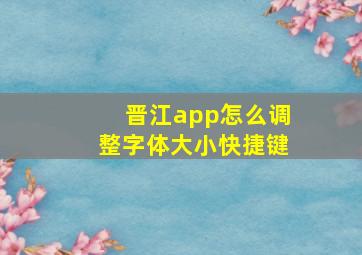 晋江app怎么调整字体大小快捷键