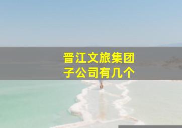 晋江文旅集团子公司有几个