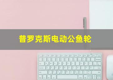 普罗克斯电动公鱼轮