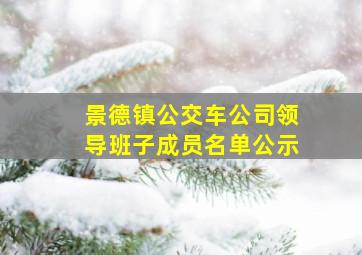 景德镇公交车公司领导班子成员名单公示