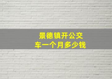 景德镇开公交车一个月多少钱