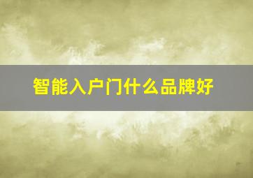 智能入户门什么品牌好