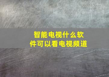 智能电视什么软件可以看电视频道