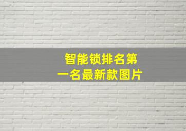 智能锁排名第一名最新款图片