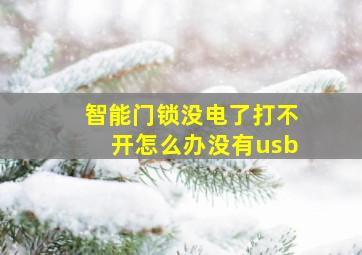 智能门锁没电了打不开怎么办没有usb