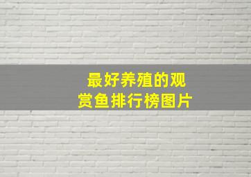 最好养殖的观赏鱼排行榜图片