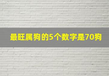 最旺属狗的5个数字是70狗