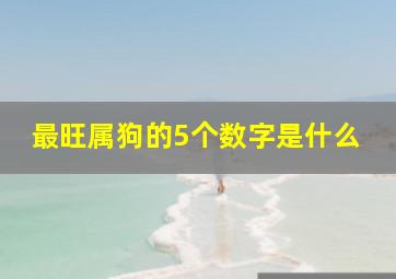 最旺属狗的5个数字是什么