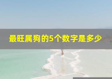 最旺属狗的5个数字是多少