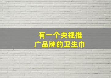 有一个央视推广品牌的卫生巾