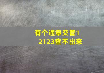 有个违章交管12123查不出来