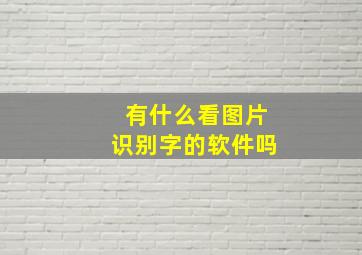 有什么看图片识别字的软件吗