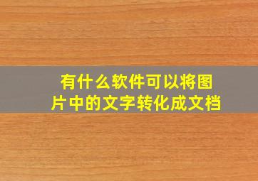 有什么软件可以将图片中的文字转化成文档