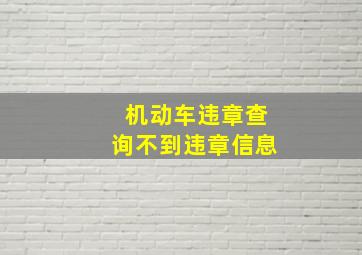 机动车违章查询不到违章信息