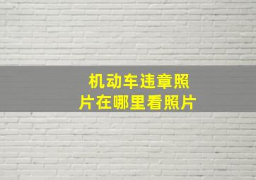 机动车违章照片在哪里看照片