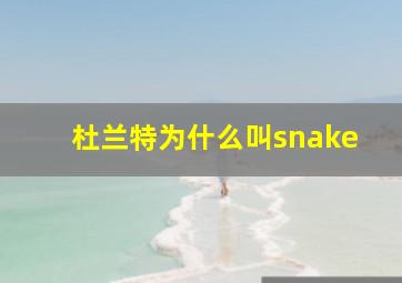 杜兰特为什么叫snake