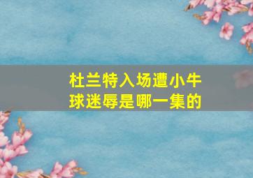 杜兰特入场遭小牛球迷辱是哪一集的