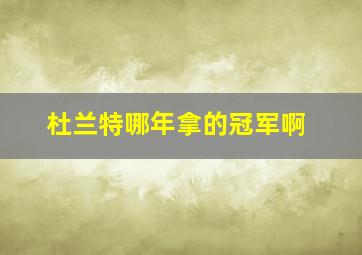 杜兰特哪年拿的冠军啊