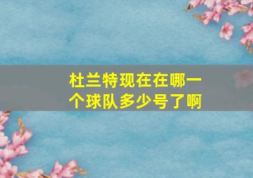 杜兰特现在在哪一个球队多少号了啊