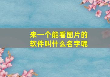 来一个能看图片的软件叫什么名字呢