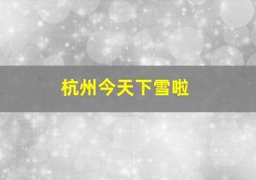 杭州今天下雪啦