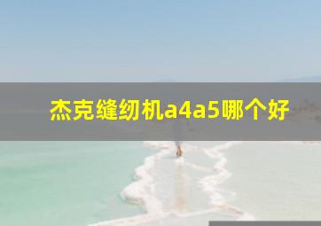 杰克缝纫机a4a5哪个好