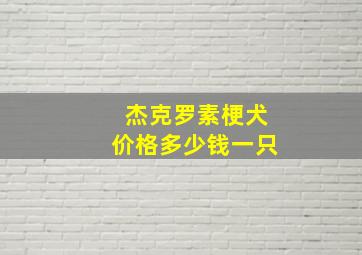 杰克罗素梗犬价格多少钱一只