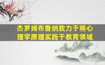 杰罗姆布鲁纳致力于将心理学原理实践于教育领域