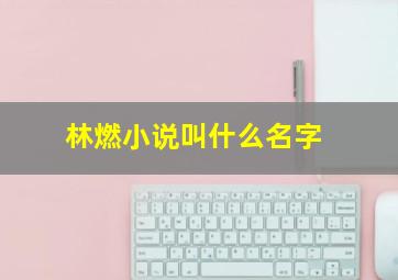 林燃小说叫什么名字