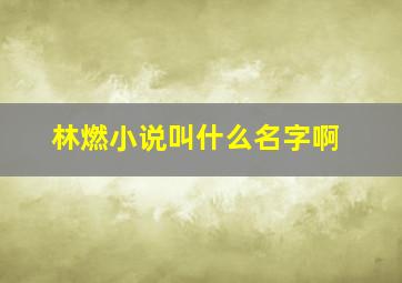 林燃小说叫什么名字啊