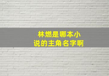 林燃是哪本小说的主角名字啊