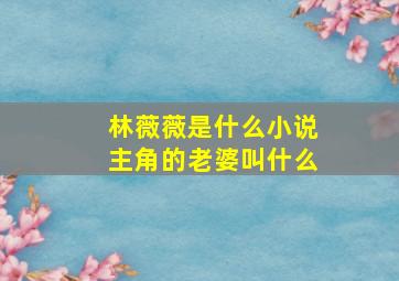 林薇薇是什么小说主角的老婆叫什么