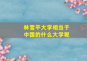 林雪平大学相当于中国的什么大学呢