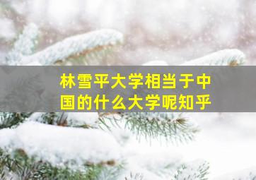 林雪平大学相当于中国的什么大学呢知乎