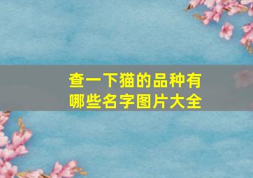 查一下猫的品种有哪些名字图片大全