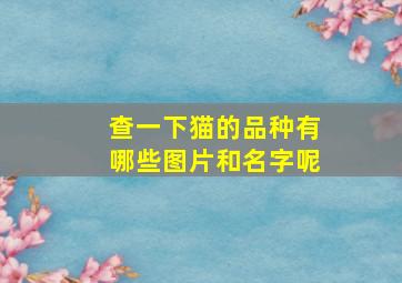 查一下猫的品种有哪些图片和名字呢