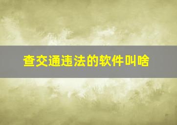 查交通违法的软件叫啥