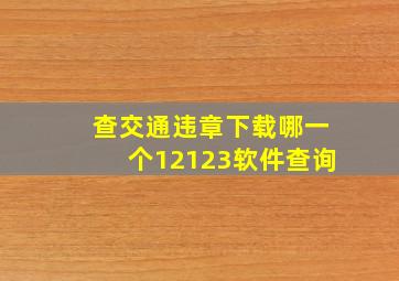 查交通违章下载哪一个12123软件查询