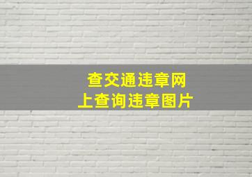 查交通违章网上查询违章图片